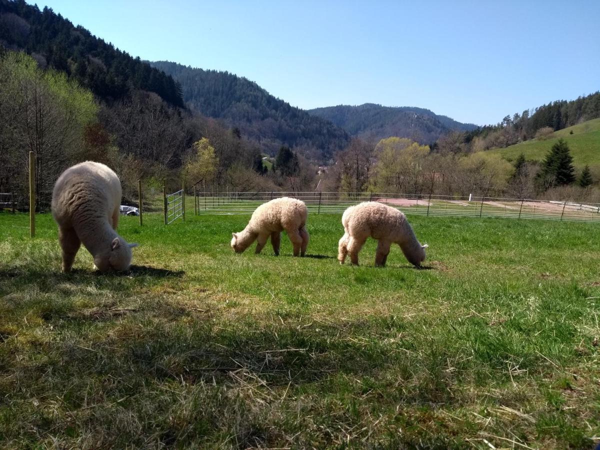 Ferienwohnungen Schwabenhof Шрамберг Екстериор снимка